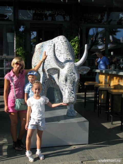 67621_rzwe4h548jq.jpg